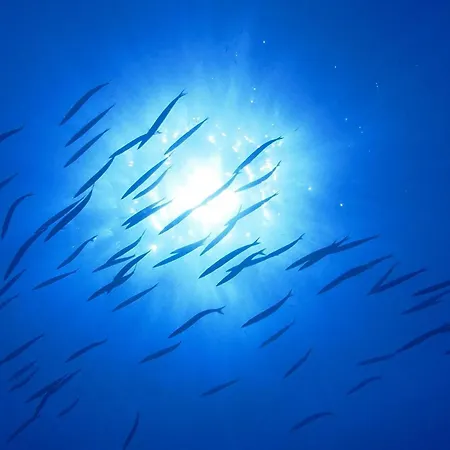 Hotel Sant'Andrea Сант-Андреа