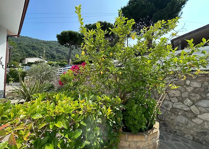 Hotel Sant'Andrea 3* SantʼAndrea