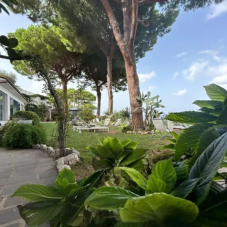 Hotel Sant'Andrea ホテル