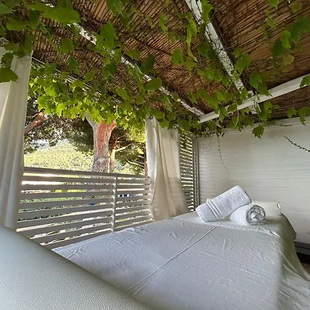 Hotel Sant'Andrea ホテル