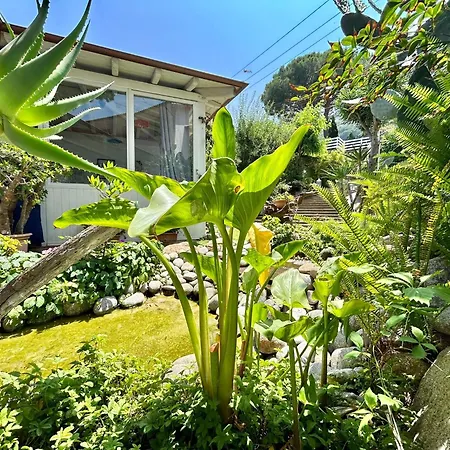 Hotel Sant'Andrea 3*