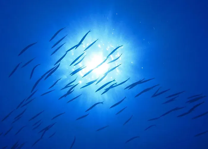 Hotel Sant'Andrea SantʼAndrea