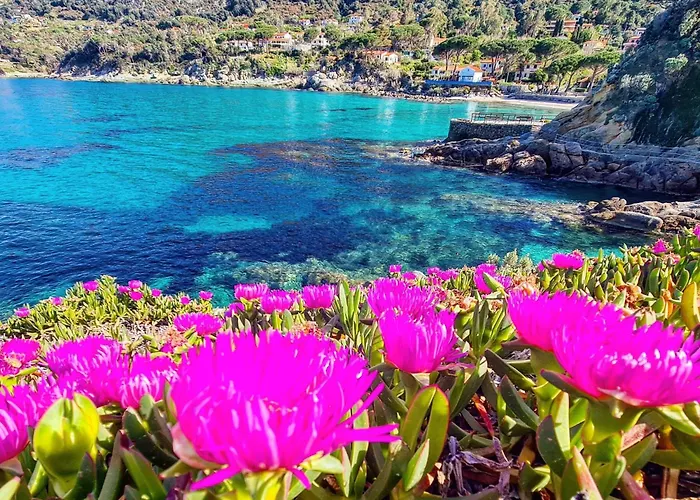 Hotel Sant'Andrea Otel SantʼAndrea