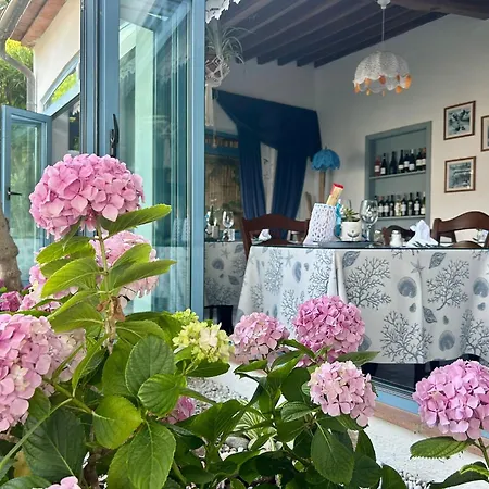 Hotel Sant'Andrea 호텔 SantʼAndrea