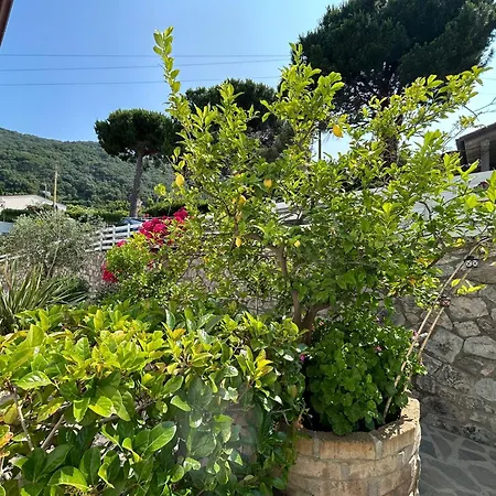 Hotel Sant'Andrea 3* Sant'Andrea